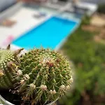 Apart-hotel Eco-friendly Estate I