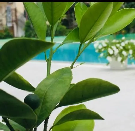 Hotel apartamentowy Eco-friendly Estate I