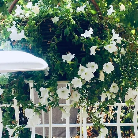 Апарт-отель Eco-friendly Estate I 4*