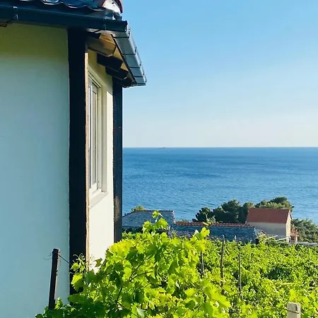 Aparthotel Eco-friendly Estate I Primosten