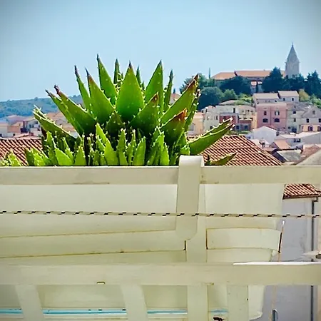 Eco-friendly Estate I Апарт-отель