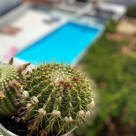 Aparthotel Eco-friendly Estate I