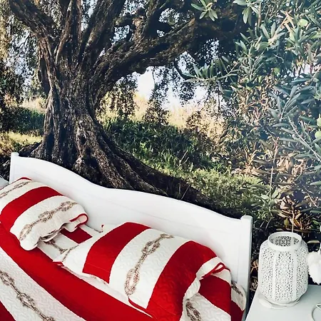 Апарт-отель Eco-friendly Estate I 4*