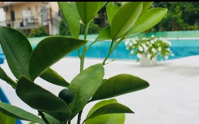 公寓式酒店 Eco-friendly Estate I