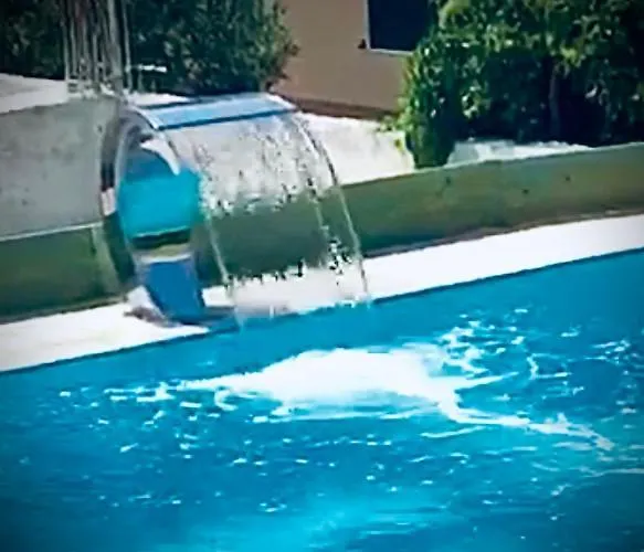 Eco-friendly Estate I 普利莫顿