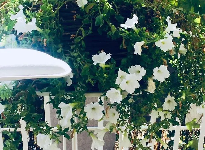 公寓式酒店 Eco-friendly Estate I 4*