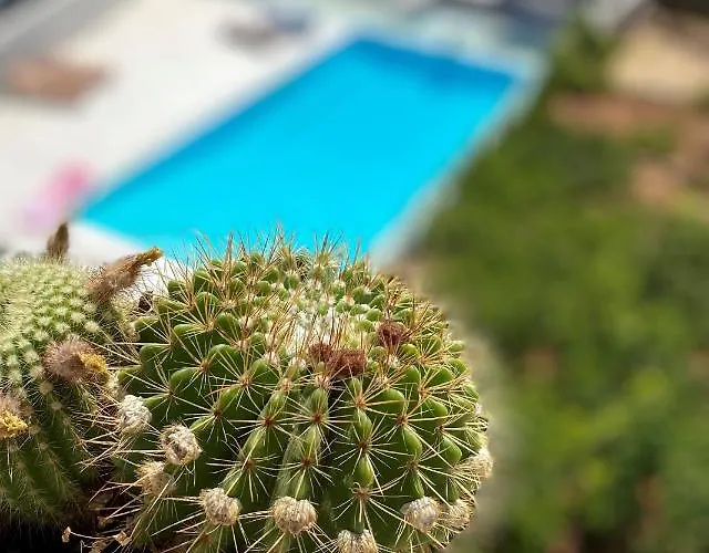 Apart Otel Eco-friendly Estate I