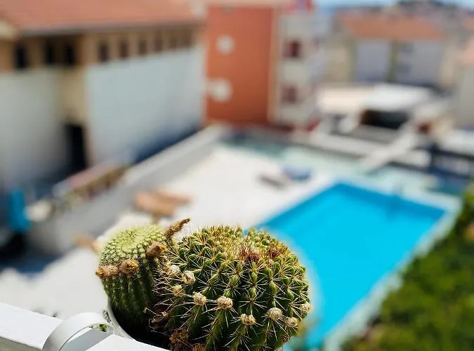 公寓式酒店 Eco-friendly Estate I 普利莫顿