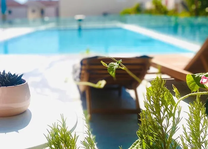 Eco-friendly Estate I 4* 普利莫顿