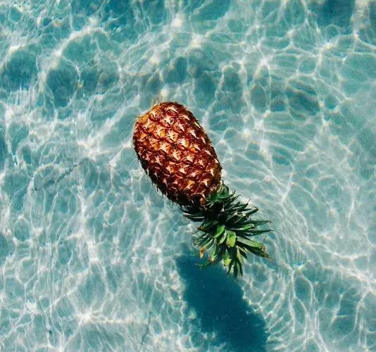 Eco-friendly Estate I 4* 普利莫顿